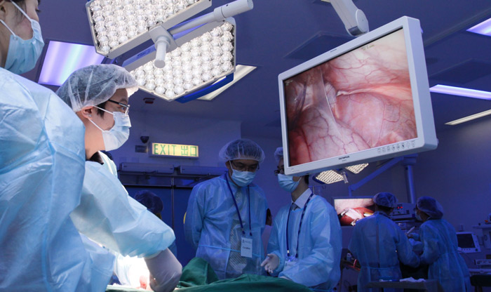 meddőség lombikbébi